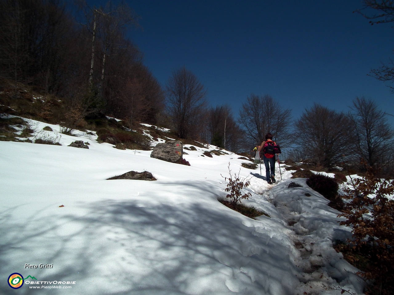 47 neve sul sentiero nel bosco....JPG